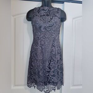 “Cache” Elegant Gray Lace Dress